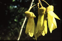 Click on image for larger picture