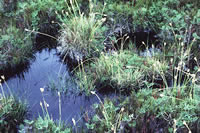 Click on image for larger picture